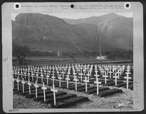 536247_183604465161241_1823317633_n